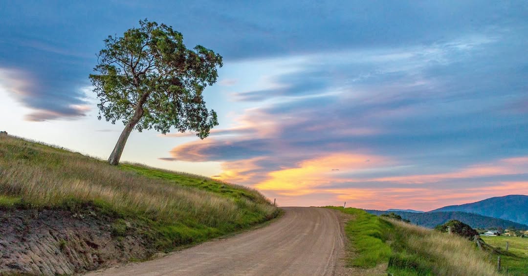 Escape To Merimbula Walks